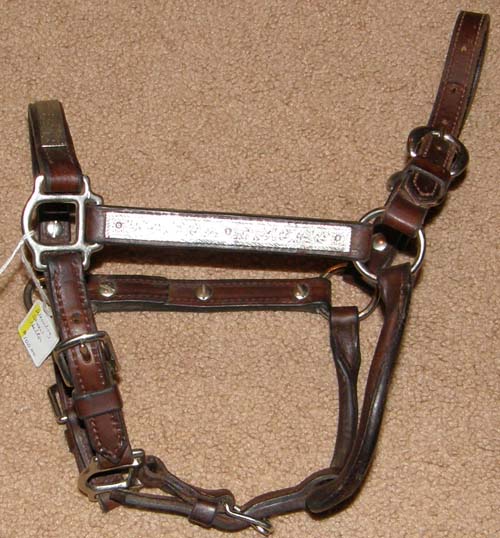 show halters foal mini